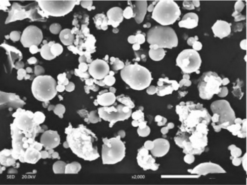 粉煤灰微观结构图片